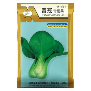 油菜种子蔬菜种籽子四季上海青包邮农家鸡毛菜种晓富富冠青梗菜籽