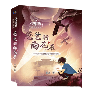 【现货】爸爸的雨花石 少年智中国原创书籍 一个孩子1973年的南京记忆 三四五六年级小学生课外阅读经典书籍儿童读本