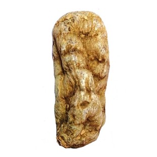 吐蕃御方藏天麻西藏波密冬天麻特产野外生长原天麻泡酒料