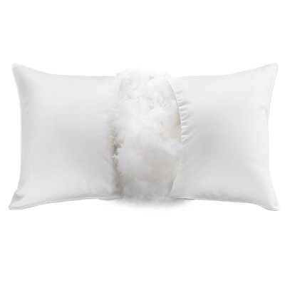 官方旗舰店90白鹅绒羽绒枕头五星级酒店枕芯梵诗亚朵成人睡觉正品