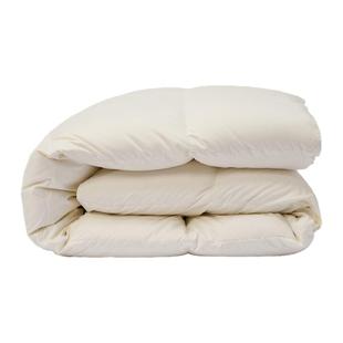 tbh野兽派家居番鸭绒被加厚保暖被子单双人春秋被冬季羽绒被