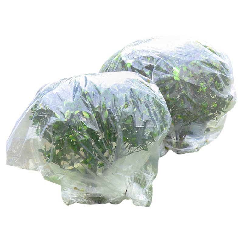 绿植盆栽过冬透明防冻保温袋
