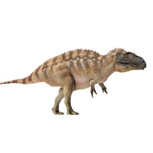 PNSO高棘龙弗格斯恐龙大王成长陪伴模型61恐龙模型手办