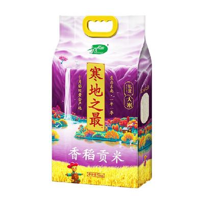 十月稻田东北大米香稻贡米