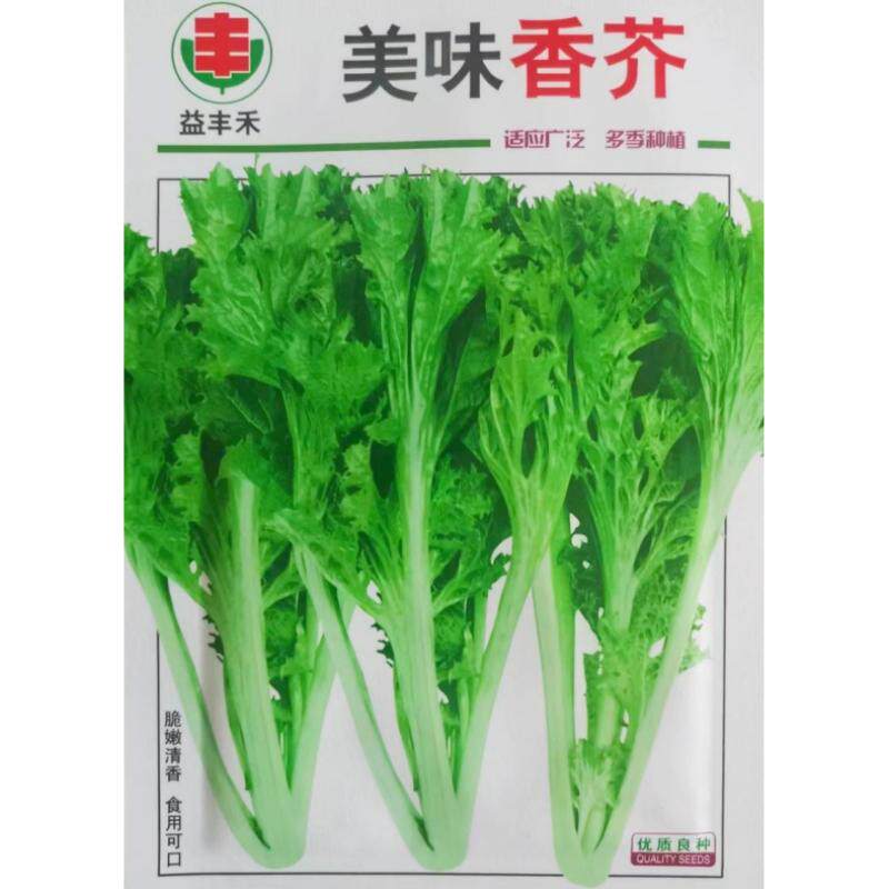 香芥叶菜种子美味香芥菜种籽特色小青菜四川春秋季农家田园蔬菜孑