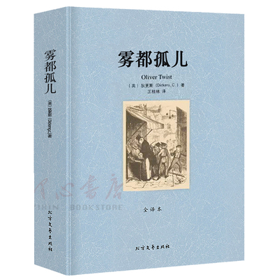 【完整版无删减】雾都孤儿原著正版包邮中文原版全译本狄更斯初高中必读世界名著小说外国经典文学作品畅销社科书 北方文艺出版社