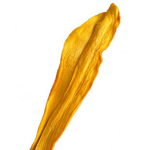 芒果干大片无添加天然晾晒原味孕妇零食不加糖儿童休闲零食