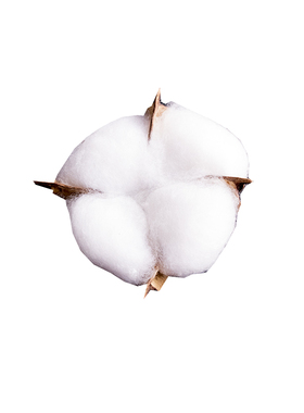 天然白棉花摆拍道具永