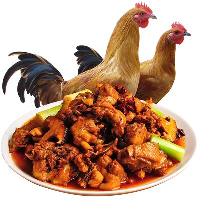 未打鸣土公鸡新鲜现杀整只
