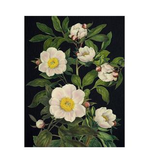 【预售】记事本-繁花英文文创笔记本Notebook进口原版平装14岁以上Blooming Flowers Journal Chartwell Books出版Editors of Ch