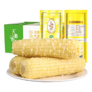 天勤粒粒净新季有机劲糯玉米新鲜玉米真空铝箔包装早餐代餐10支