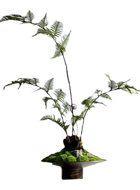 中式日式侘寂禅意永生苔藓狗毛蕨类绿植仿制铜器玄关茶几吧台摆件