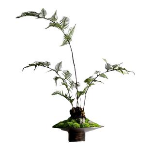 中式日式侘寂禅意永生苔藓狗毛蕨类绿植仿制铜器玄关茶几吧台摆件
