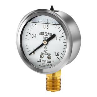 上海仪川仪表厂压力表测水压耐震压力表防震抗震充油YN60径向安装