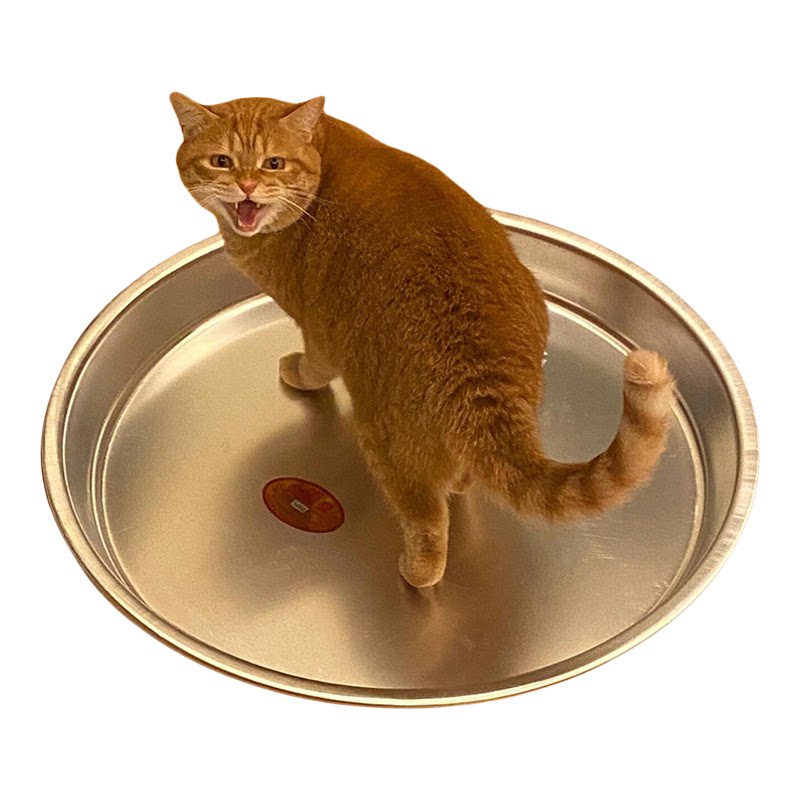 不锈钢宠物冰垫猫狗纳凉防抓