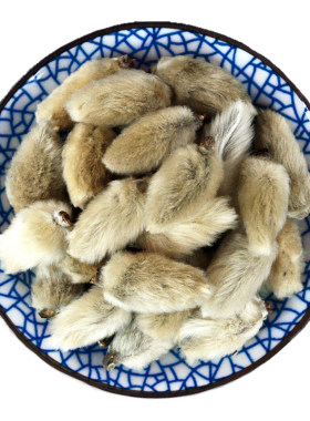 辛夷花中药材正品辛夷花茶木兰花