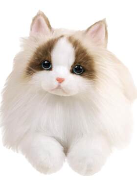 仿真猫咪玩偶会叫布偶猫电动公仔