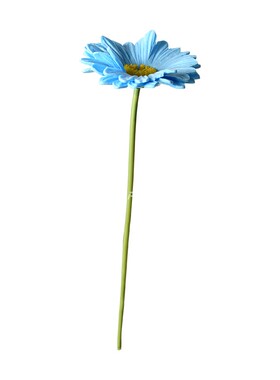 PU非洲菊仿真花束婚庆手捧摆件
