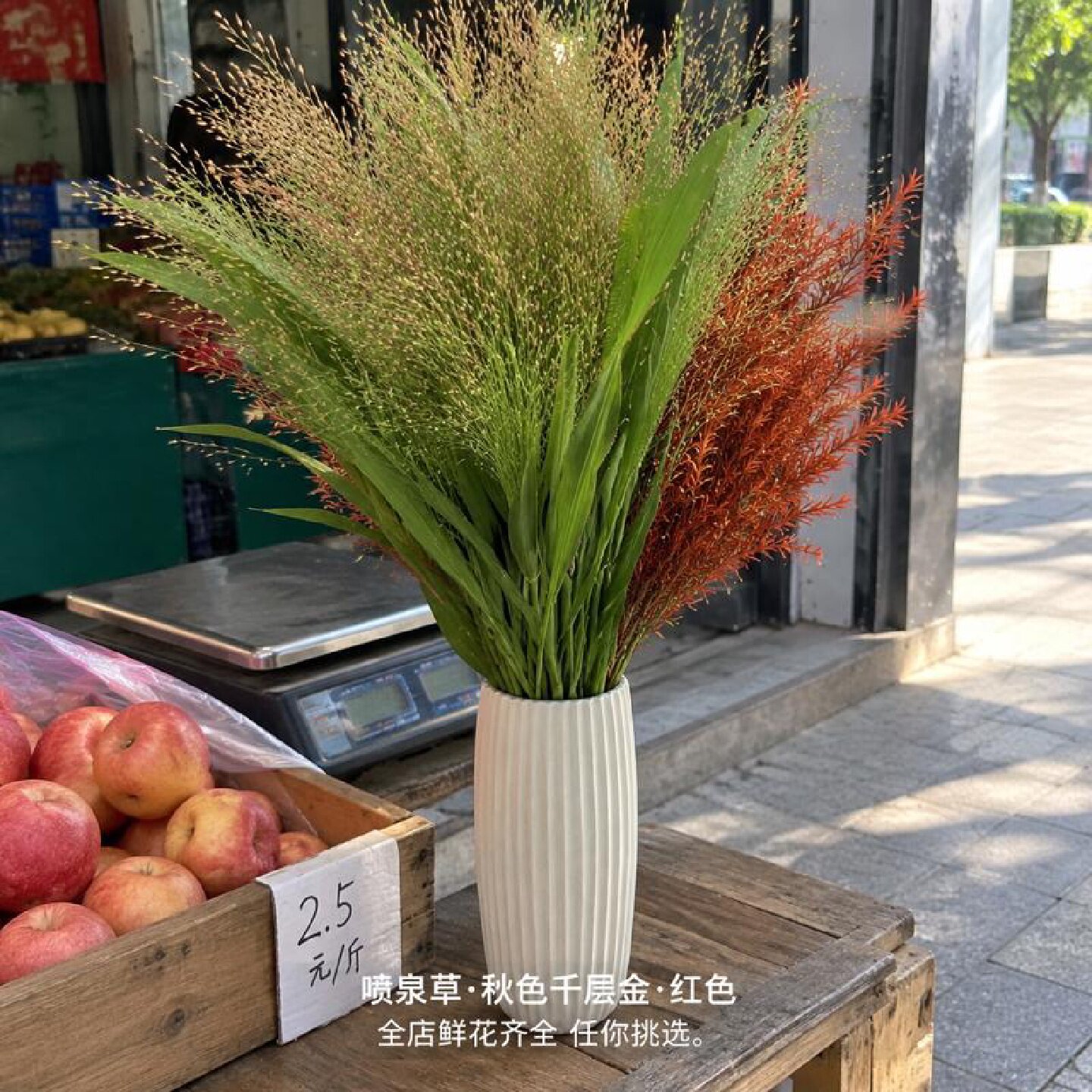 喷泉草秋色配千层金红色云南鲜切花斗南直发基地花束配叶婚庆花材