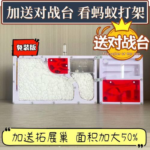 蚂蚁城堡工坊生态箱送蚁后繁殖科学昆虫大号观察沙巢养殖盒饲养盒