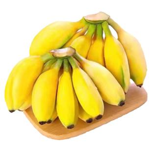 现摘广西小米蕉当季新鲜水果10斤整箱自然熟苹果蕉香蕉帝皇焦粉焦