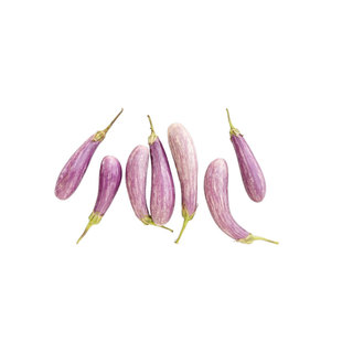 童话故事茄子种子F1皮薄籽少紧凑高产AAS奖品种春秋花园阳台盆栽