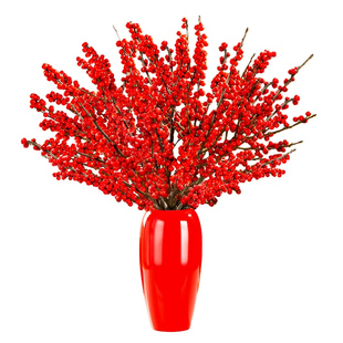北美冬青红果真花鲜切枝银柳红腊梅春节新年宵花水培客厅插花旺宅
