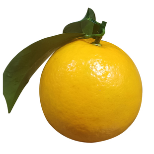 正宗廉江红橙红江橙新鲜当季水果现摘手剥薄皮红江农场甜橙子10斤