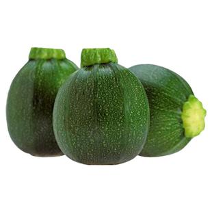 特大巨型葫芦种子种籽孑早熟耐热蔬菜绿色文玩葫芦籽农作物种子