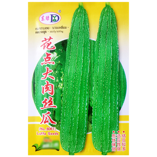 花点大肉丝瓜种子厚肉八角棱角丝瓜种籽春秋农家菜园庭院爬藤蔬菜