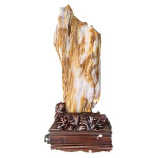 树化玉原石摆件家居客厅木化玉靠山石天然树化石书房观赏石木化石