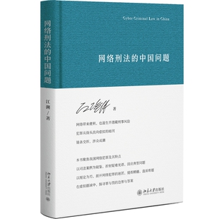 2026新书 网络刑法的中国问题 江溯 著 北京大学出版社 9787301367995