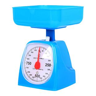 儿童托盘秤小学生二三年级学习克和千克教学台秤弹簧秤天平称教具