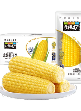 北纬47度即食水果玉米棒10穗