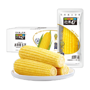 北纬47度低GI水果玉米棒200g*10穗开袋即食新鲜真空袋装黑龙江