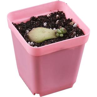 室内简约多肉塑料花盆清仓扦插育苗盆加厚大号方盆小黑方白色彩方