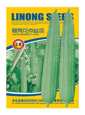 蔬菜四季早熟高产蔬菜苗丝瓜种子