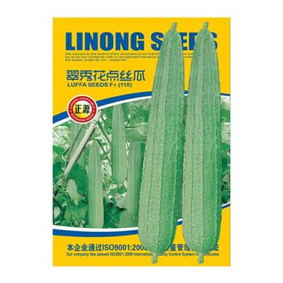 蔬菜四季早熟高产蔬菜苗丝瓜种子
