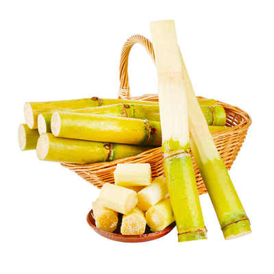 正宗云南黄金甘蔗现砍现发