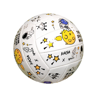 ANISIA5号排球中考专用硬排