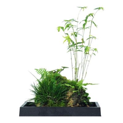 竹子附石假山懒人水培植物