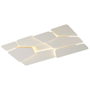 创意客厅主灯简约现代led吸顶灯大气卧室灯网红餐厅书房房间灯具