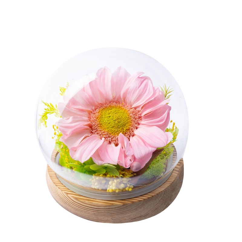 迷朵永生花玻璃罩摆件教师节礼品