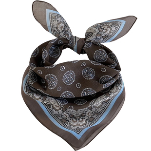 春秋丝巾小方巾女复古围巾薄款护颈领巾丝巾发带包头巾男