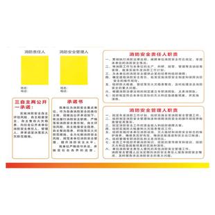 消防安全“三自主两公开一承诺”公示牌消防检查安检展板自主评估风险安全责任人管理人宣传整改隐患宣传海报
