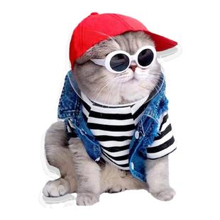 定制宠物猫咪狗狗桌面摇头摆件可爱动物亚克力电动摇摇乐车内装饰