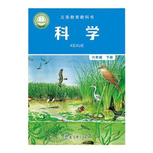 正版教科版六年级下册科学书课本小学6六年级下册科学教育科学出版社科学六年级下册学生用书6六下科学书教科版义务教育教科书