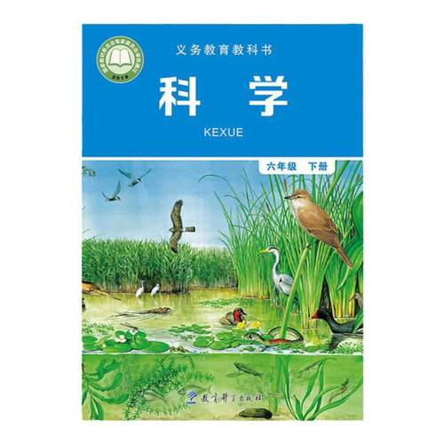 正版教科版六年级下册科学书课本小学6六年级下册科学教育科学出版社科学六年级下册学生用书6六下科学书教科版义务教育教科书