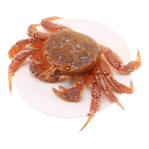 红毛蟹鲜活毛蟹新鲜俄罗斯螃蟹非冻蟹死蟹伊氏毛甲蟹大连海鲜水产