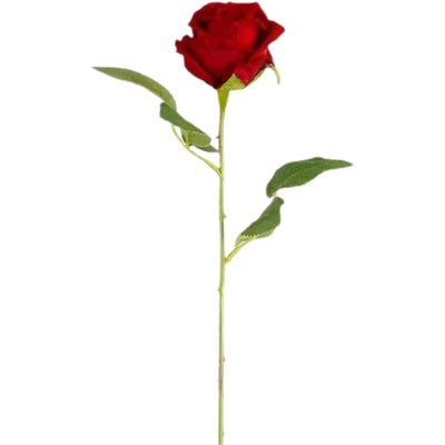 民族新疆舞手拿嘴咬牡丹花玫瑰手指花女儿花傣族舞蹈考级表演道具